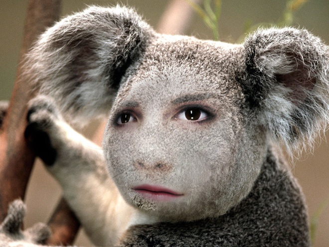 Edit Funny Photo With Funny Photo Maker