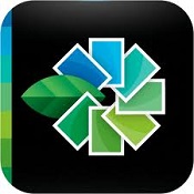 Snapseed icon